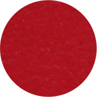 N1004